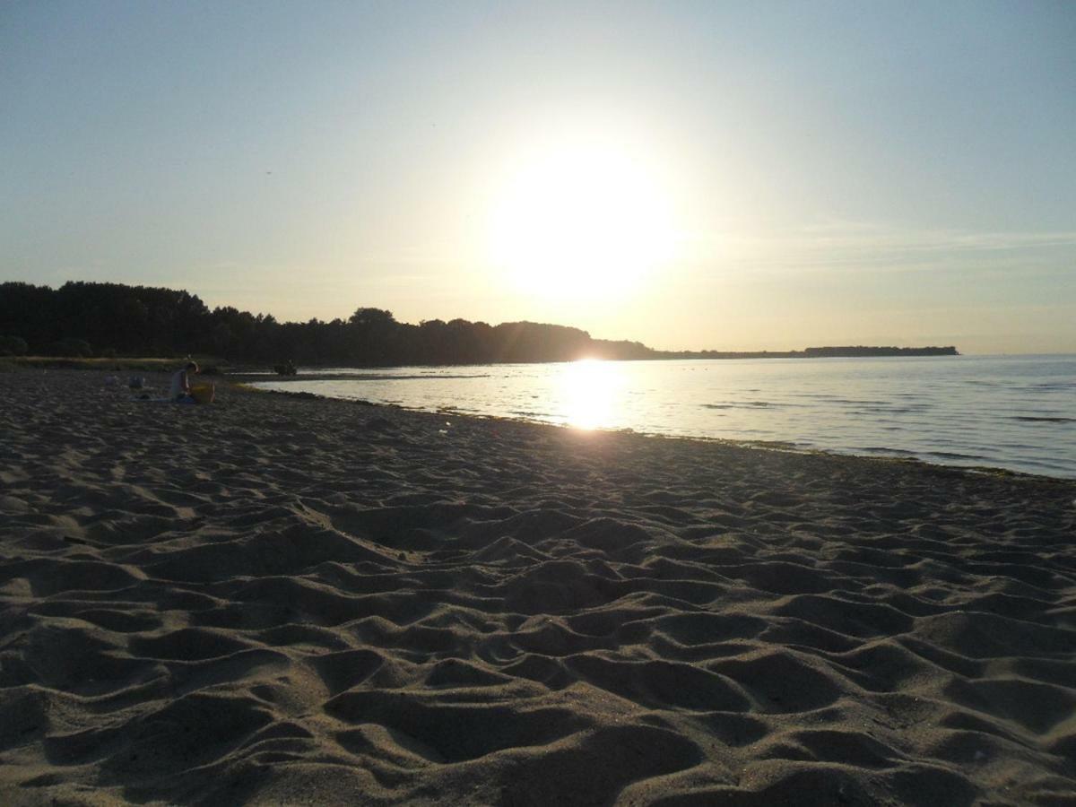 Krahennest Am Ostseestrand - Abc52 By Abcwismar Zierow Luaran gambar
